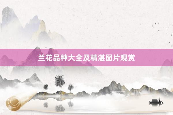 兰花品种大全及精湛图片观赏
