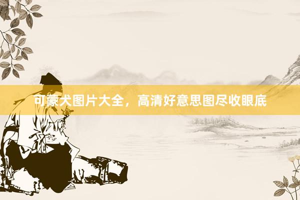 可蒙犬图片大全，高清好意思图尽收眼底