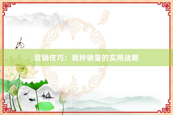 营销伎巧:栽种销量的实用战略